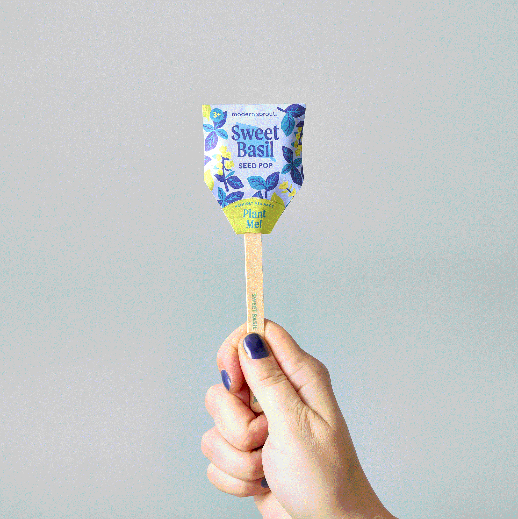 Seed Pops - Garden