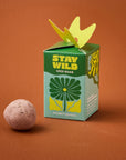 Seed Bombs