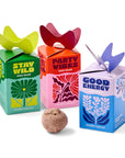 Seed Bombs