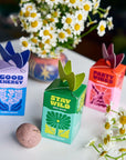 Seed Bombs