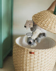 Pineapple Storage Basket Large - Natural