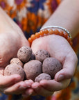 Seed Bombs