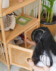Sunshine Arch Cabinet Shelf