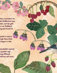 Birds in a Book (UpLifting Editions)