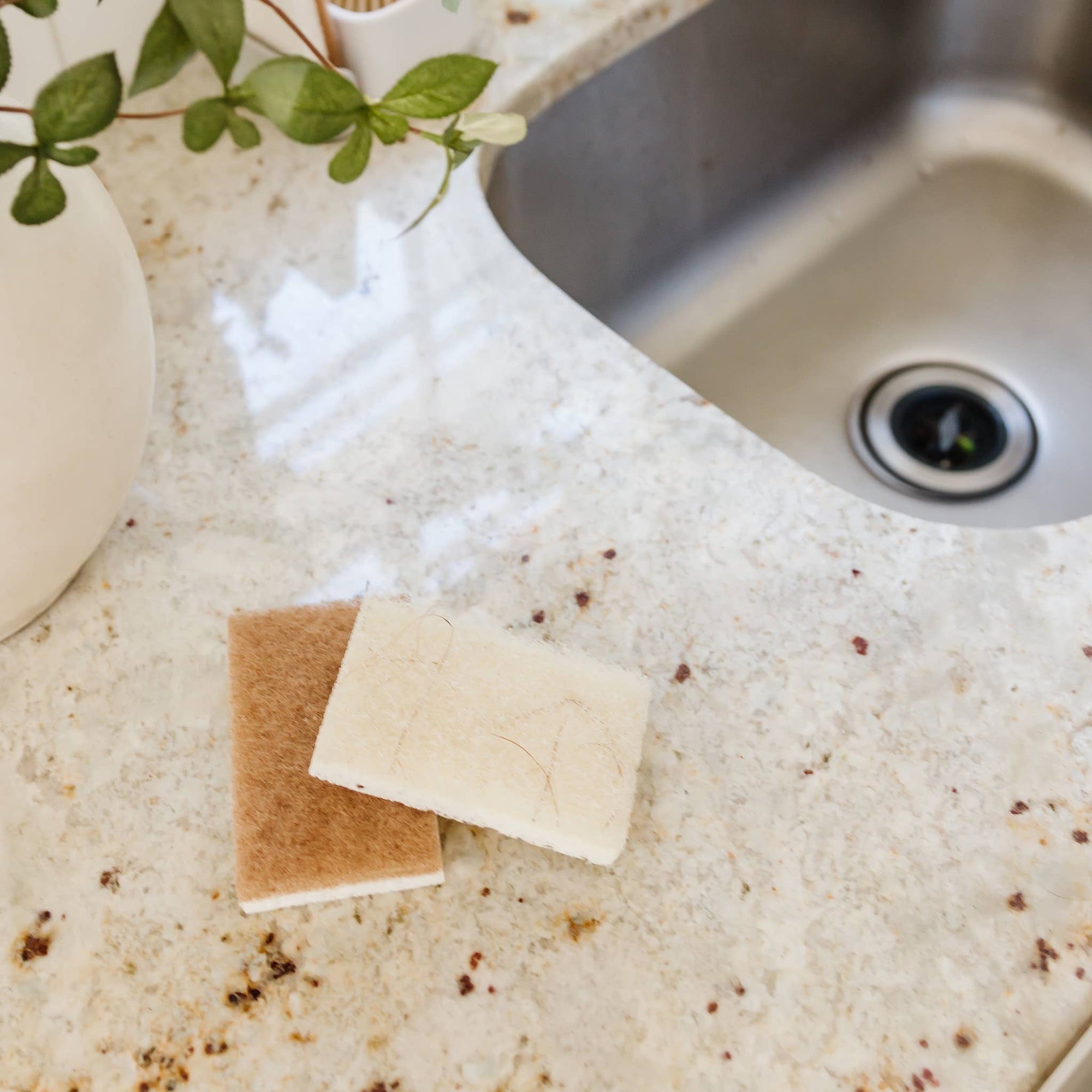 Natural Scrubber Sponge Duo Set (6pk)