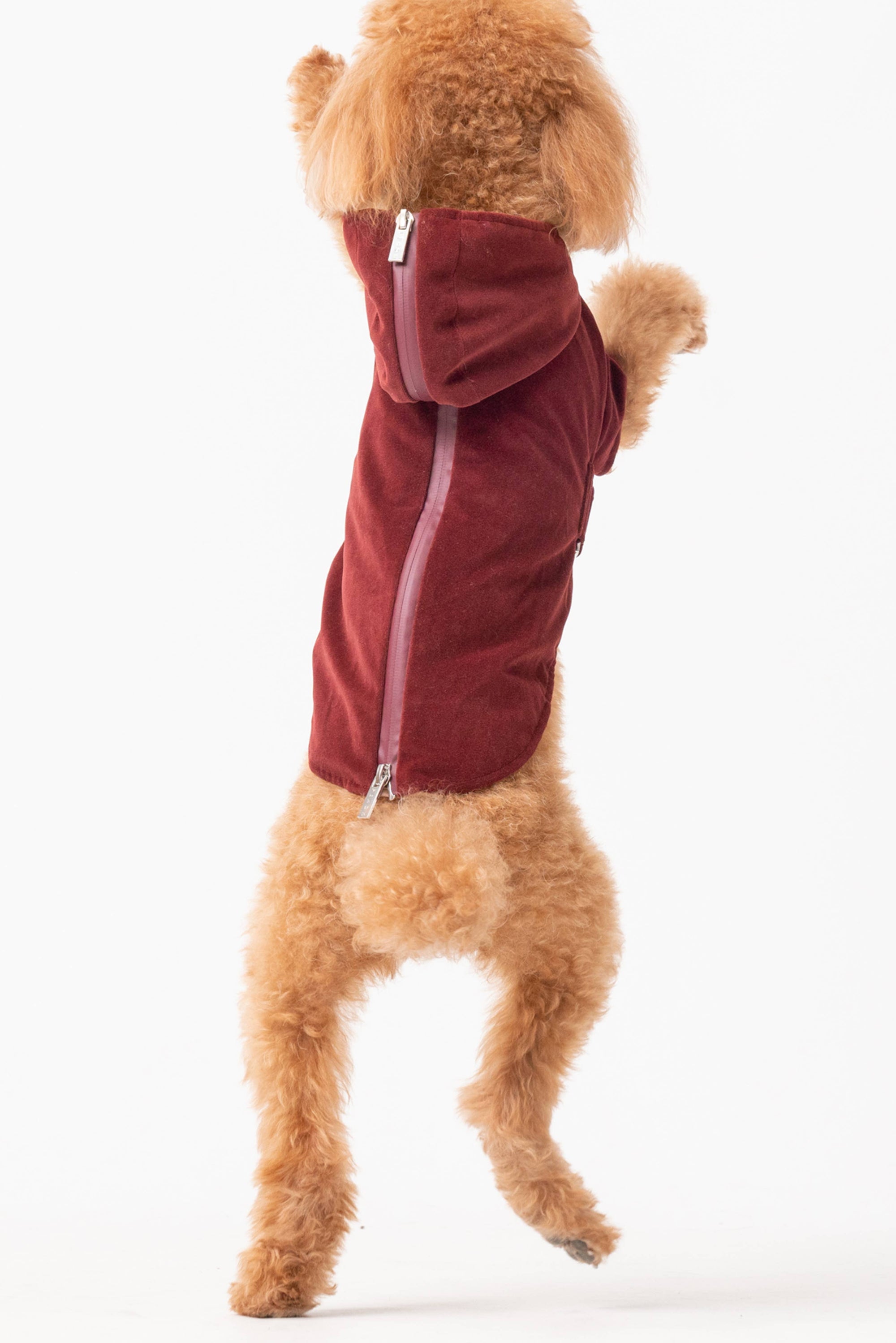 Montage Expandable Hoodie -  Red/Blue