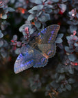 'Spellbound' Paper Witch Moth and Butterfly 3 Piece Set