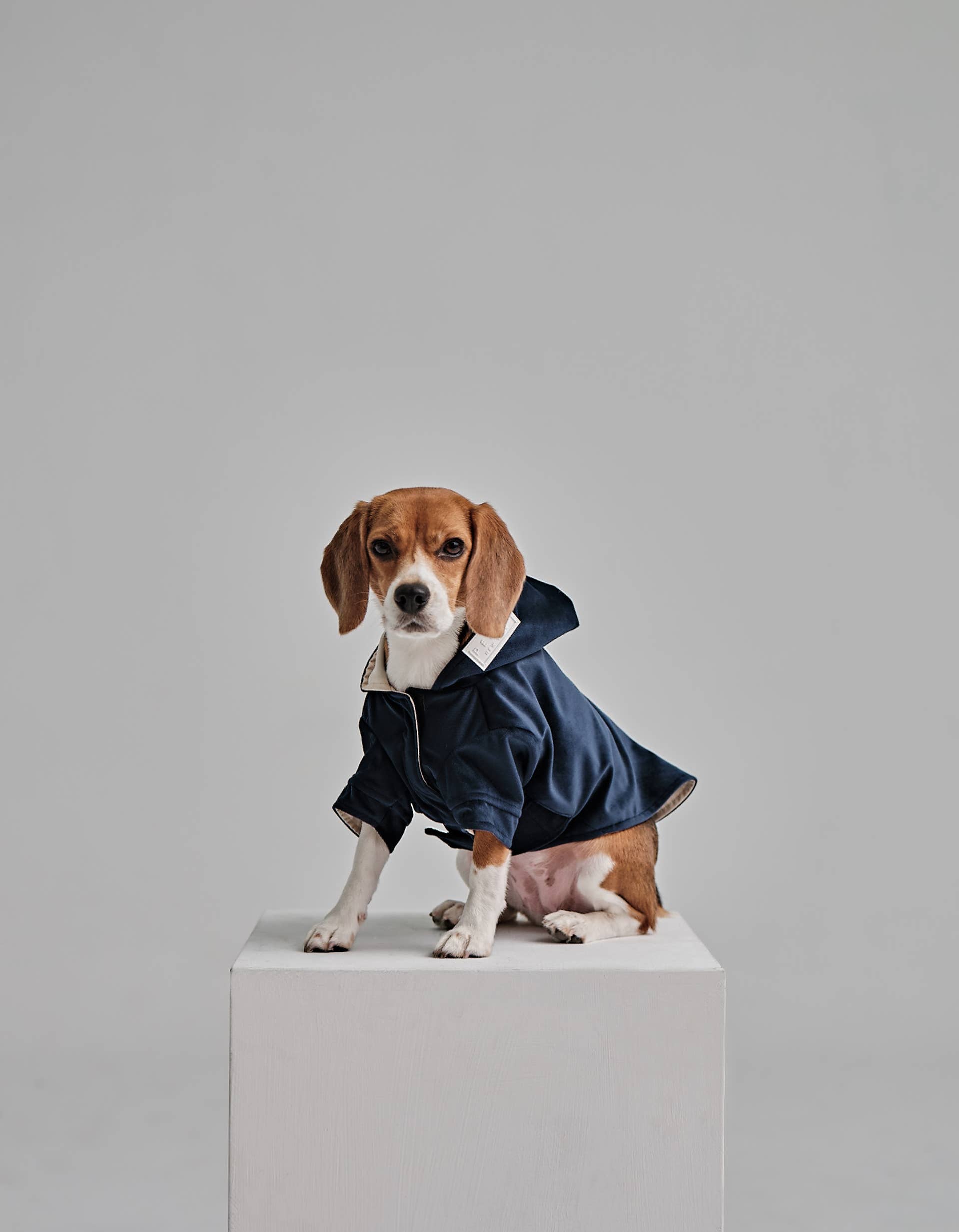 Montage Expandable Hoodie -  Red/Blue