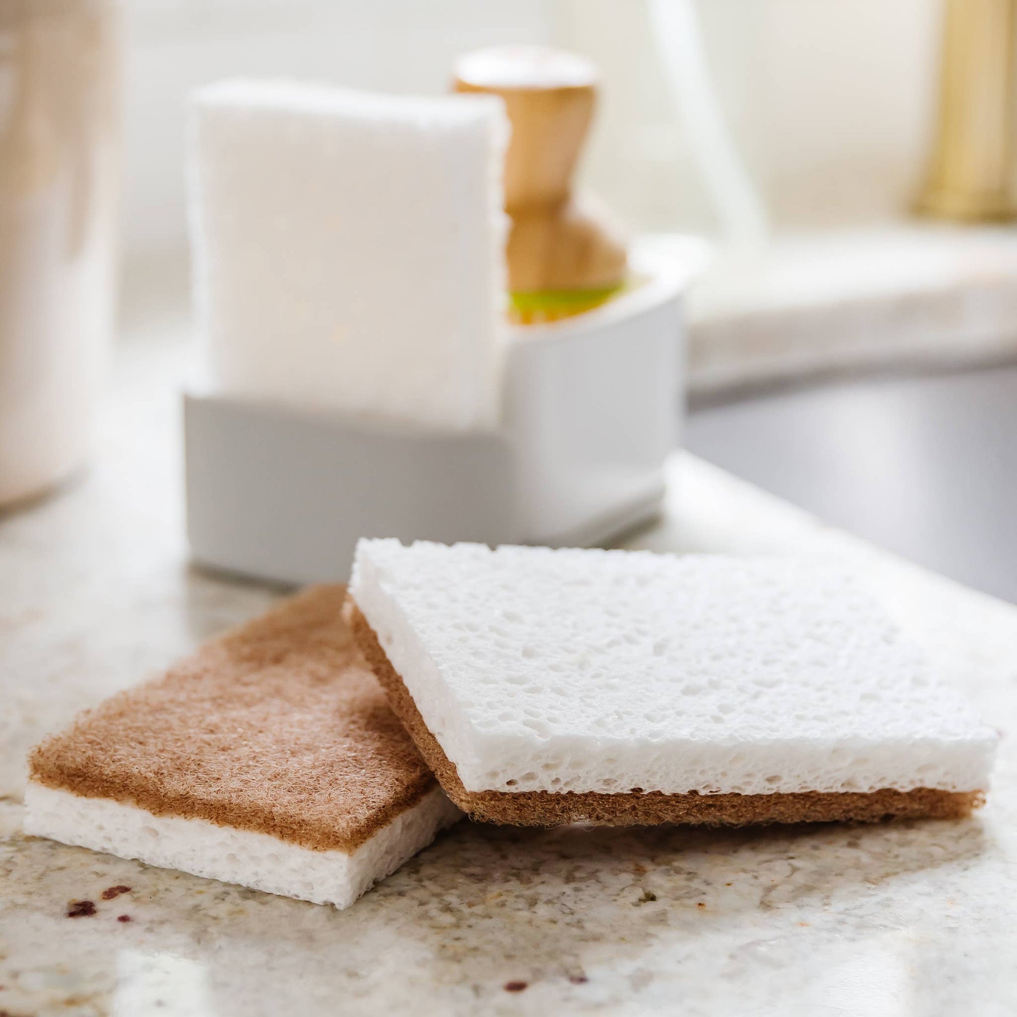 Walnut Shell Scrubber Sponge (6pk)