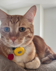 Silicone Collar AirTag Holder