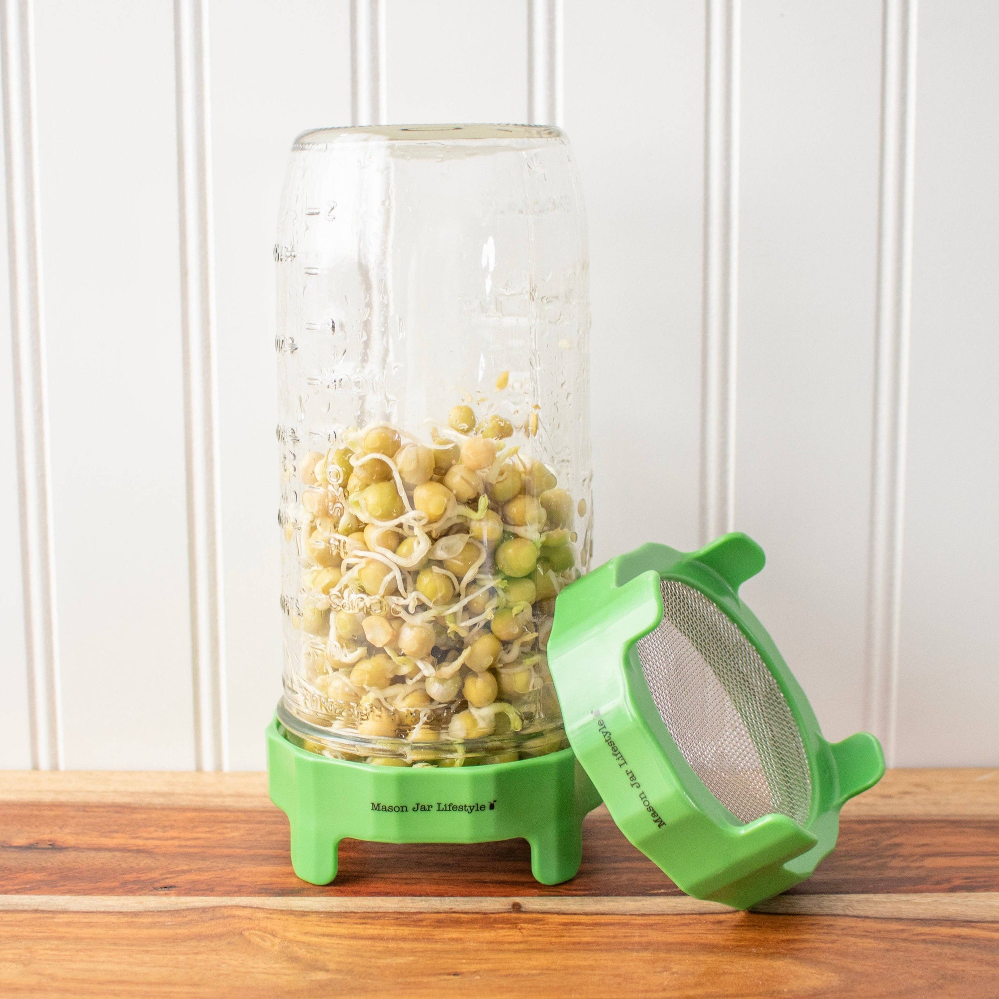 Rust Proof Sprouting Lid with Built-In Stand for Wide Mouth