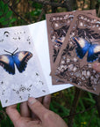 Owl Butterfly Greeting Card with Removable Butterfly