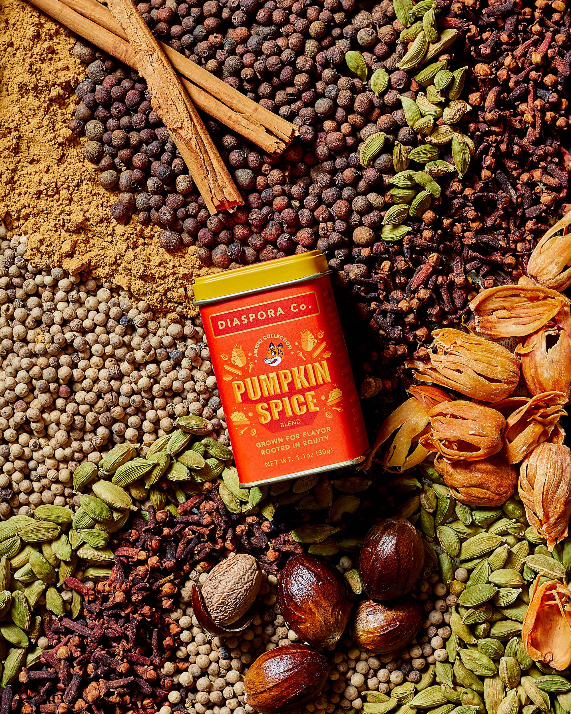 Pumpkin Spice (Spice Blend) - For Lattes &amp; Baking