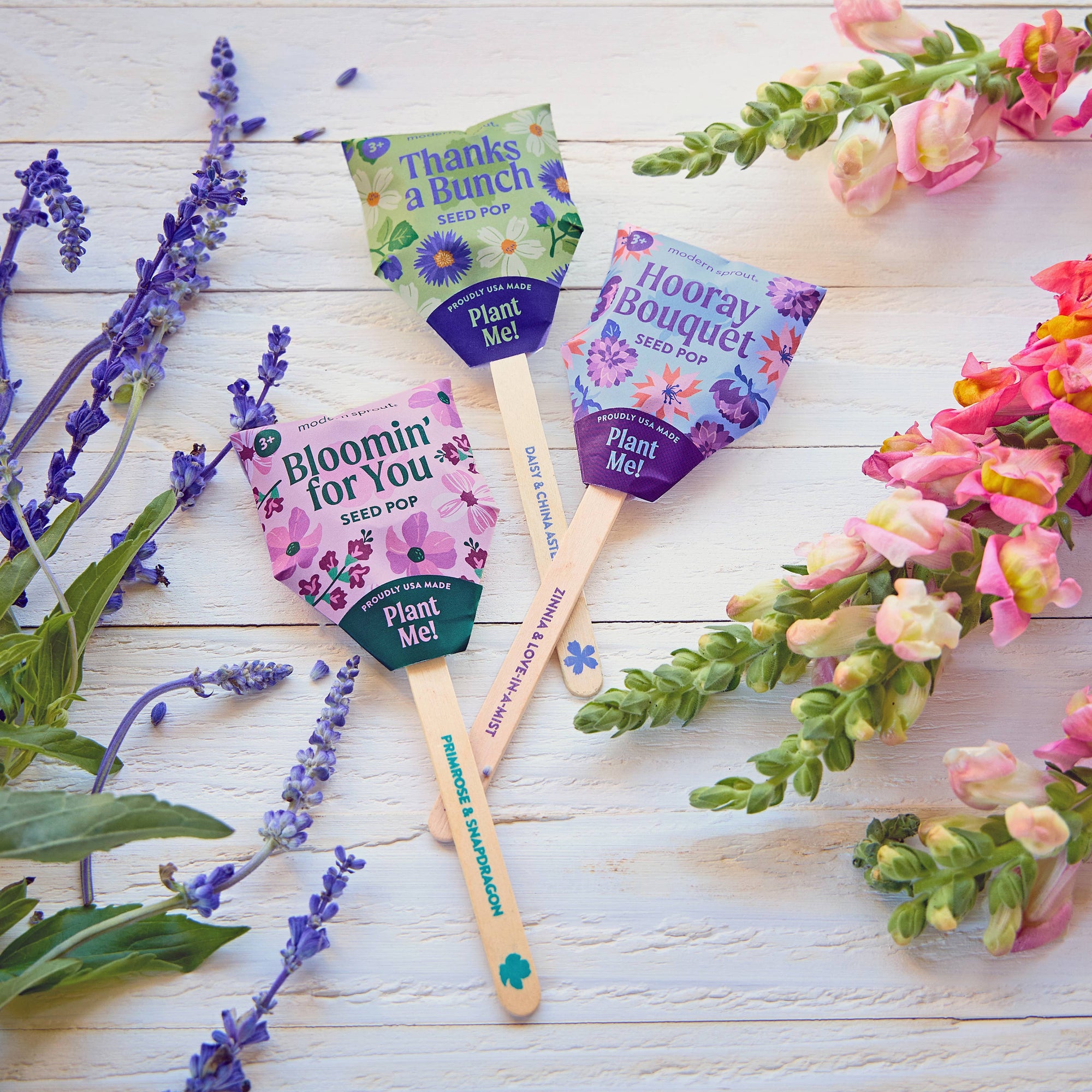 Flower Seed Pop (Single)