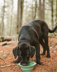 Me Mother Earth - Collapsible Silicone Dog Bowl