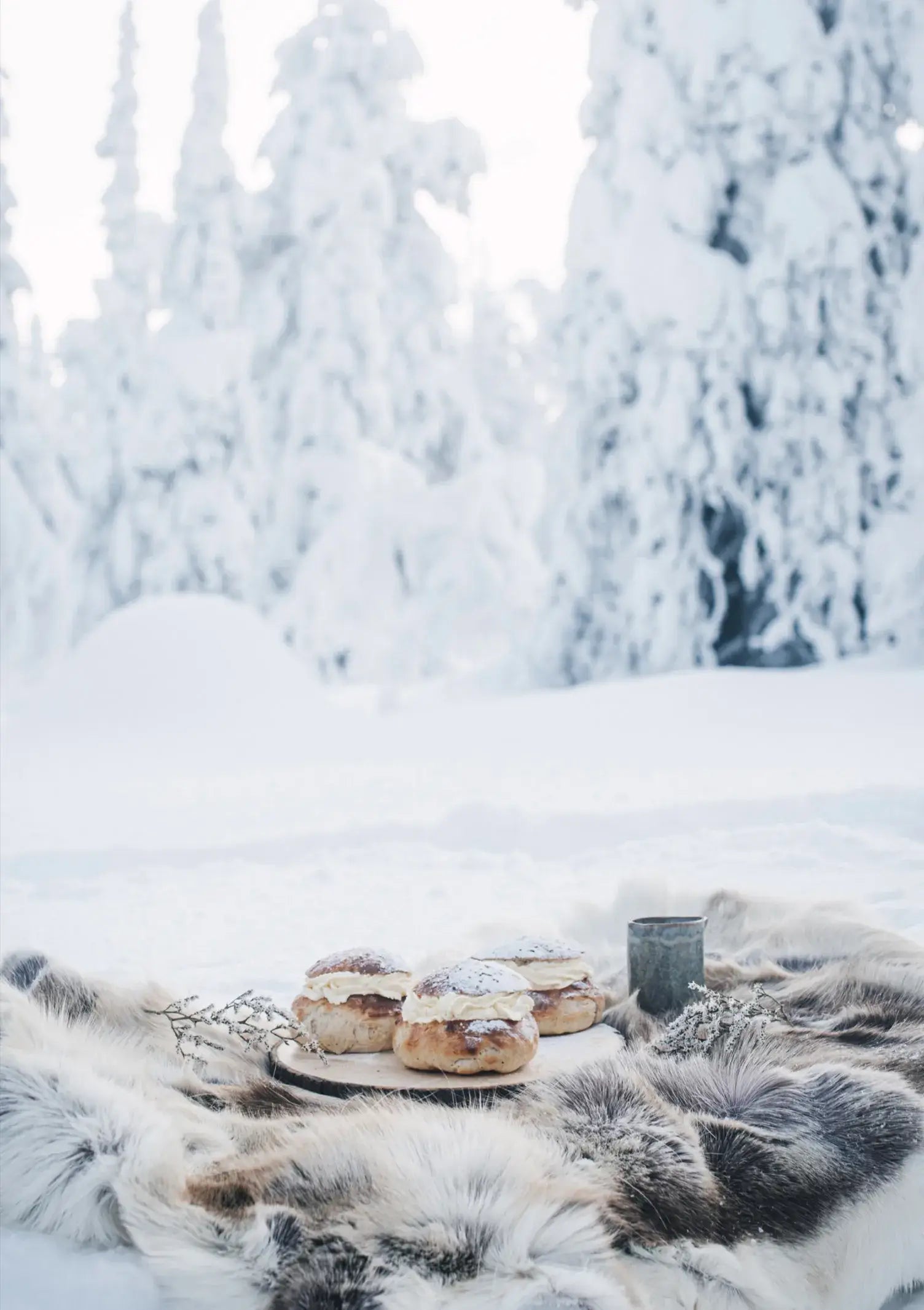 Cozy Publishing - Nordic Winter Cookbook
