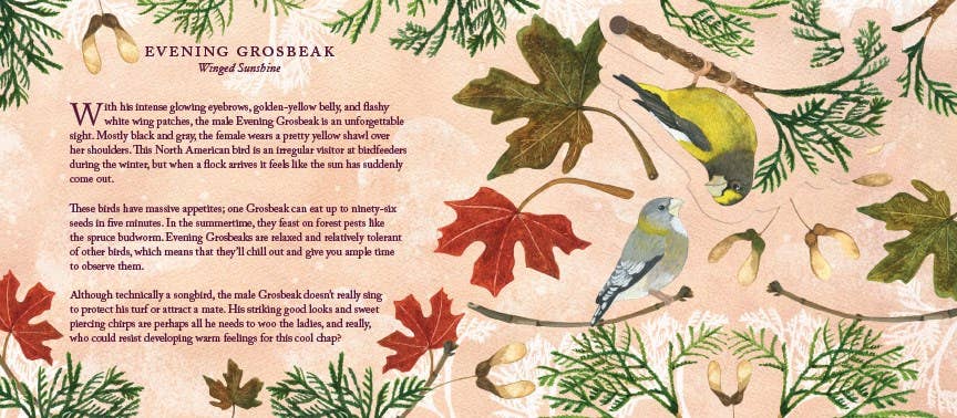 Birds in a Book (UpLifting Editions)