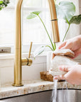 Walnut Shell Scrubber Sponge (6pk)