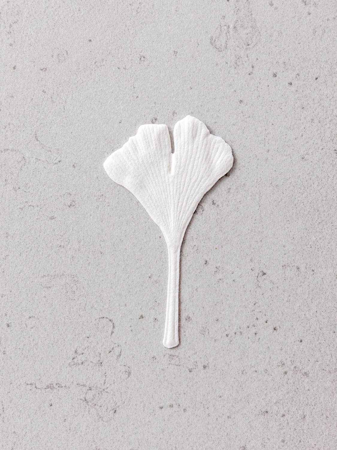 HA KO Paper Incense - Autumn, Fennel