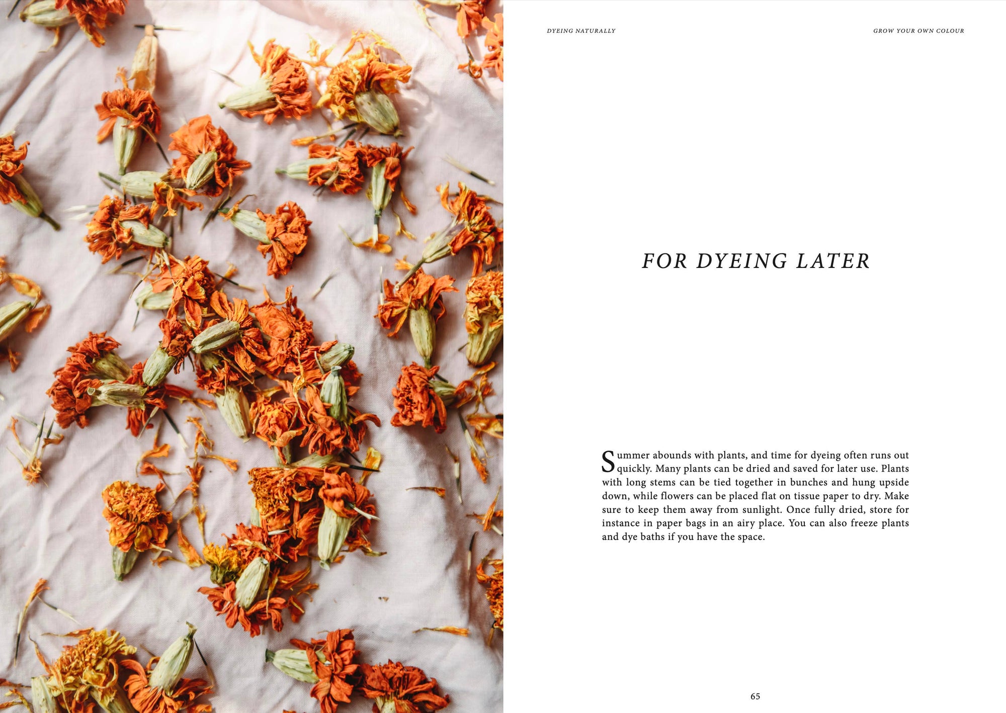Cozy Publishing - Dyeing Naturally