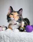 Berta the Honey Bee and Sisters Eco Wool Pet Toys