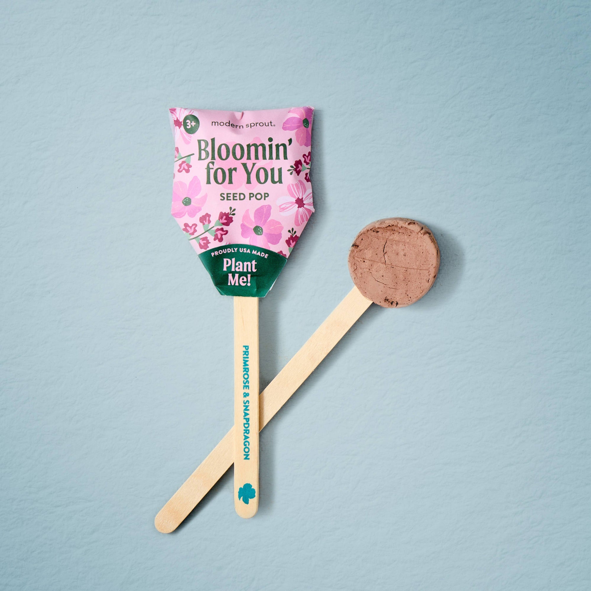 Flower Seed Pop (Single)