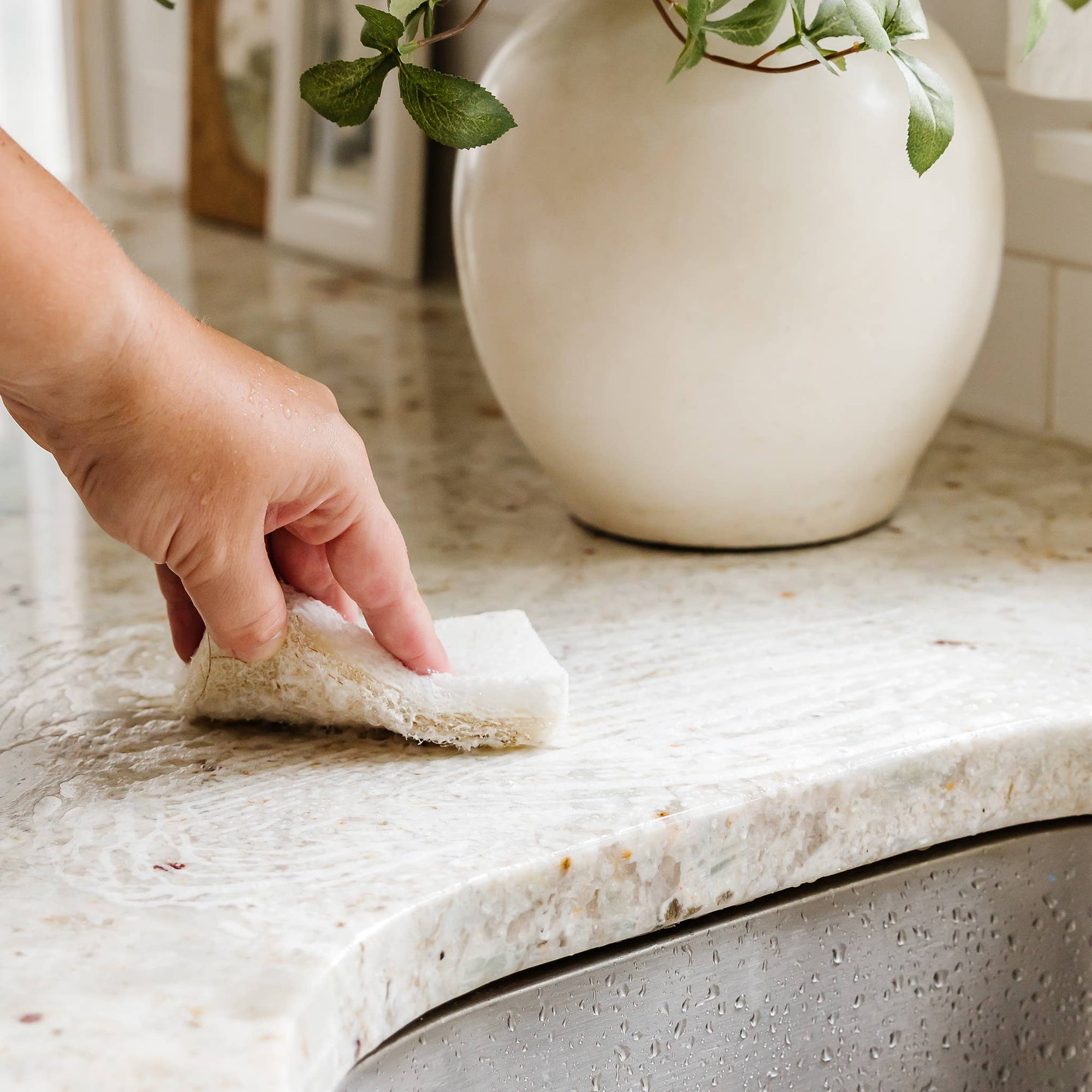Coconut Husk Scrubber Sponge (6pk)