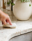 Coconut Husk Scrubber Sponge (6pk)
