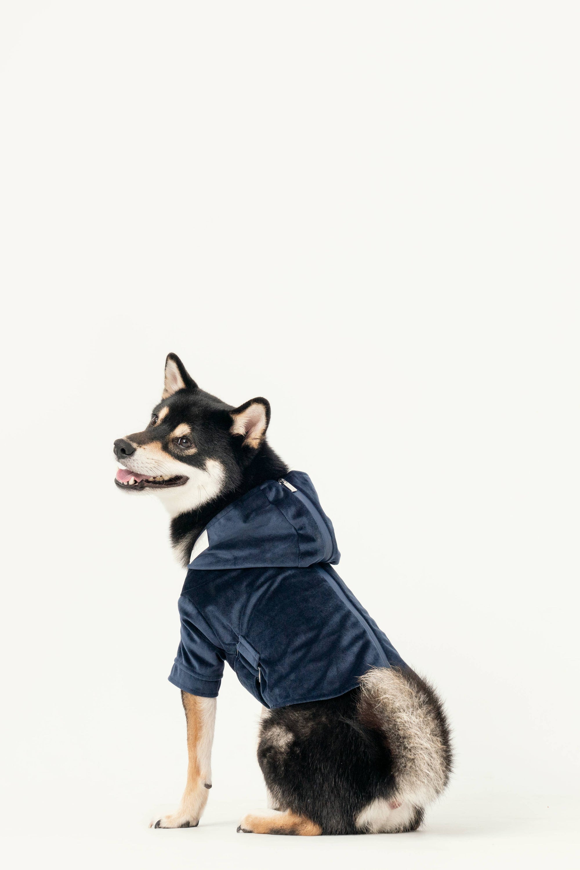 Montage Expandable Hoodie -  Red/Blue