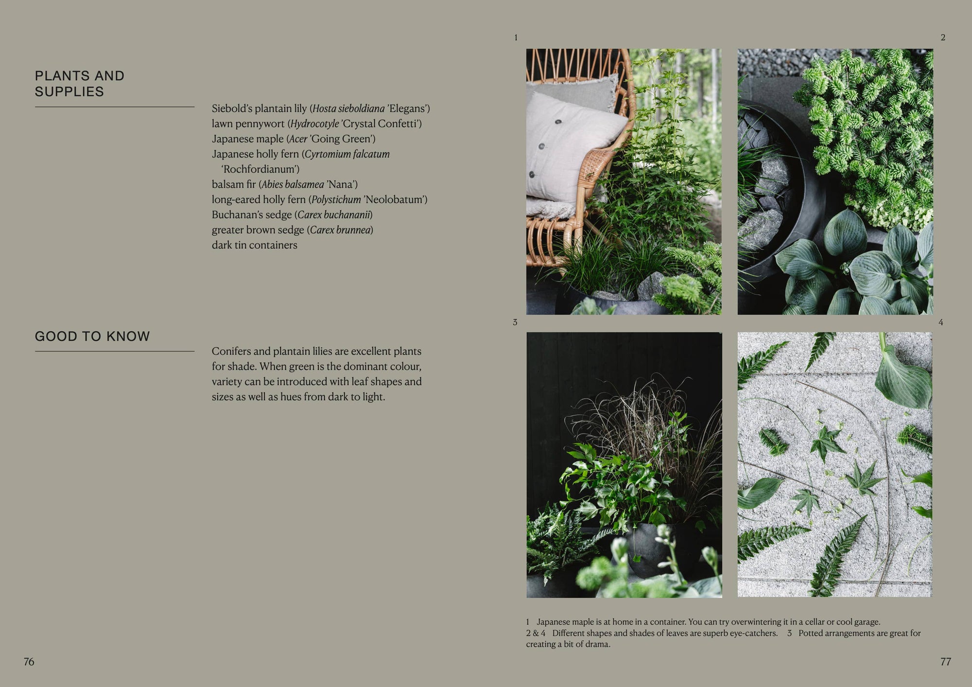 Cozy Publishing - The Potted Garden - All Year Round