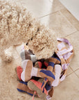 Ashi Dog Toy Small - Caramel/Blue