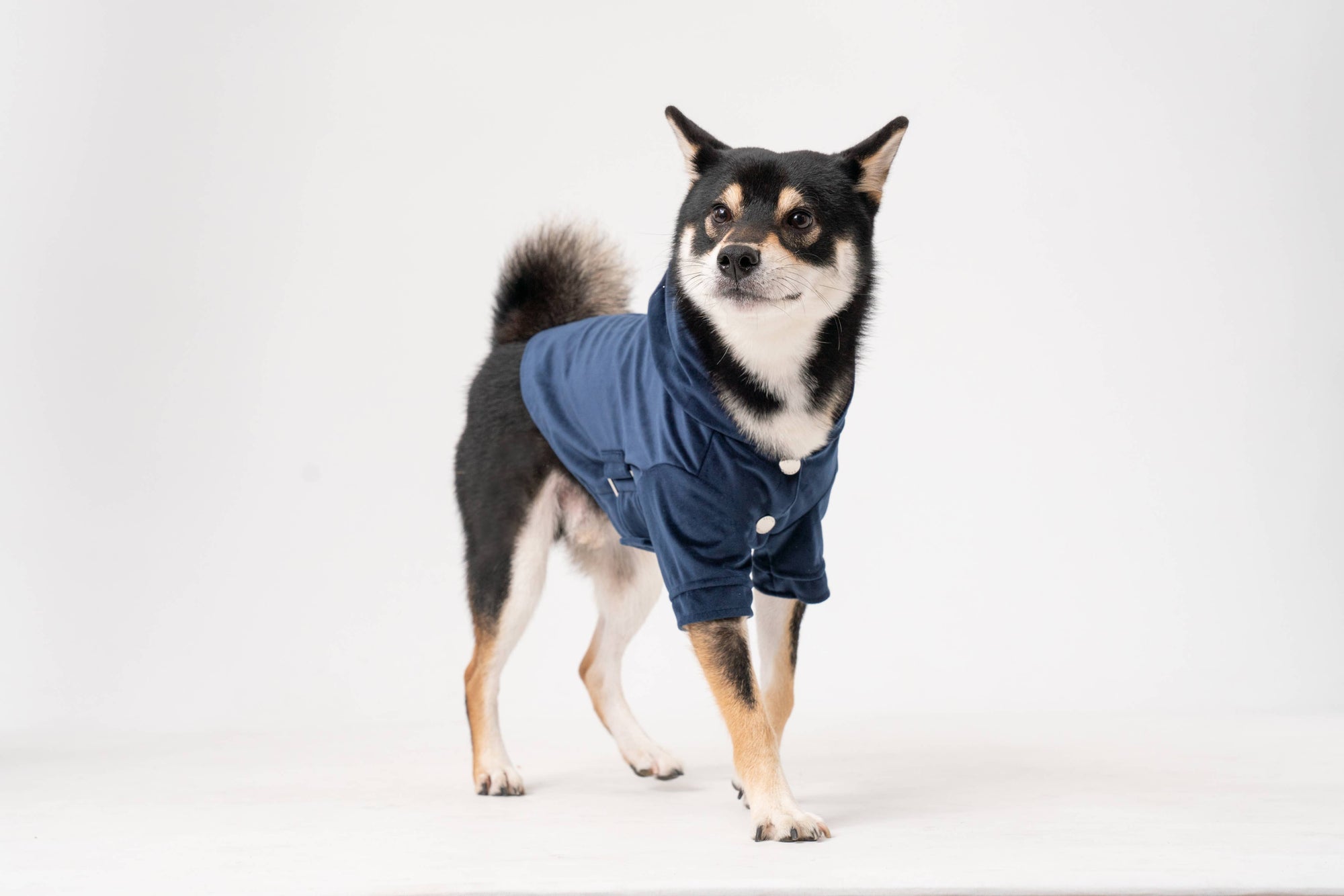 Montage Expandable Hoodie -  Red/Blue