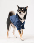Montage Expandable Hoodie -  Red/Blue