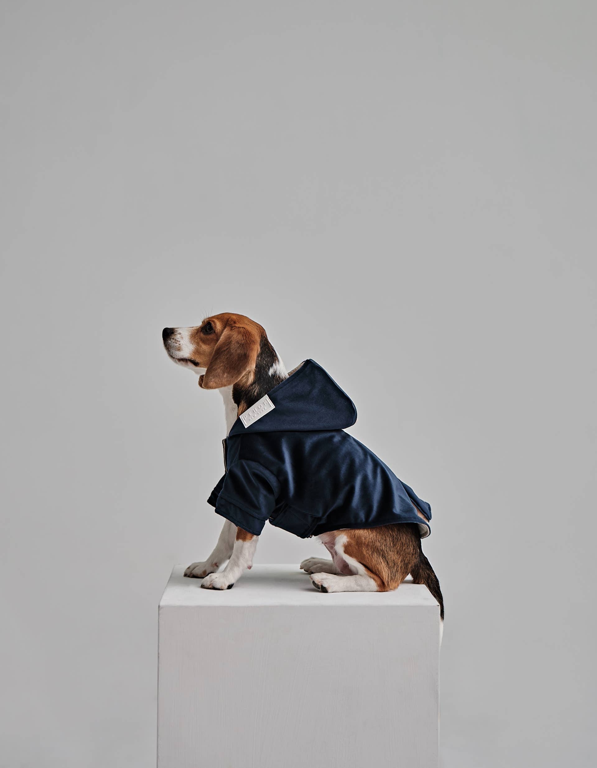 Montage Expandable Hoodie -  Red/Blue