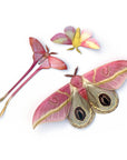 'Blush' Pink Moth Set