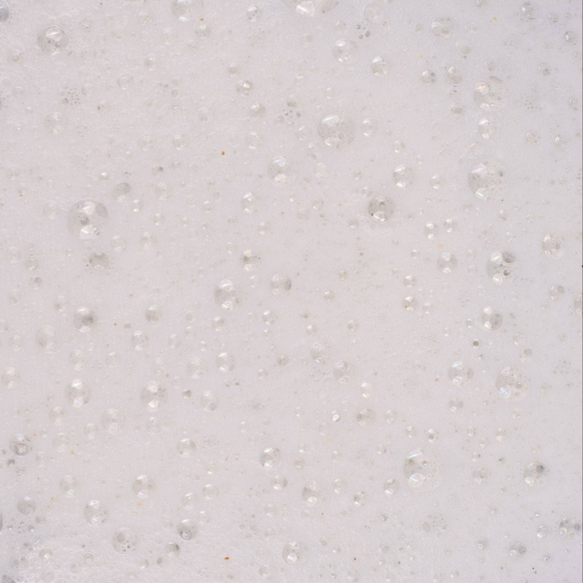 Powder-to-Foam Face Wash with Upcycled Willow Bark + Papaya