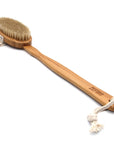 Dry/Wet Long Handle Body Brush