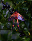 'Fire' Moth Set