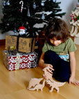 Wooden Dinosaur Set